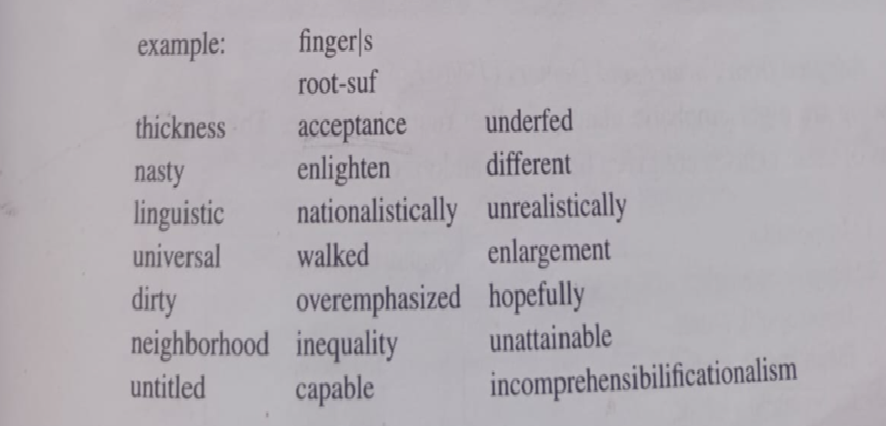 Thomas Payme, ,morphologycal exercise